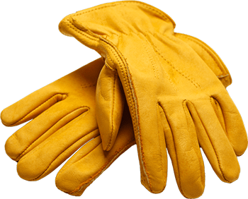 Gloves